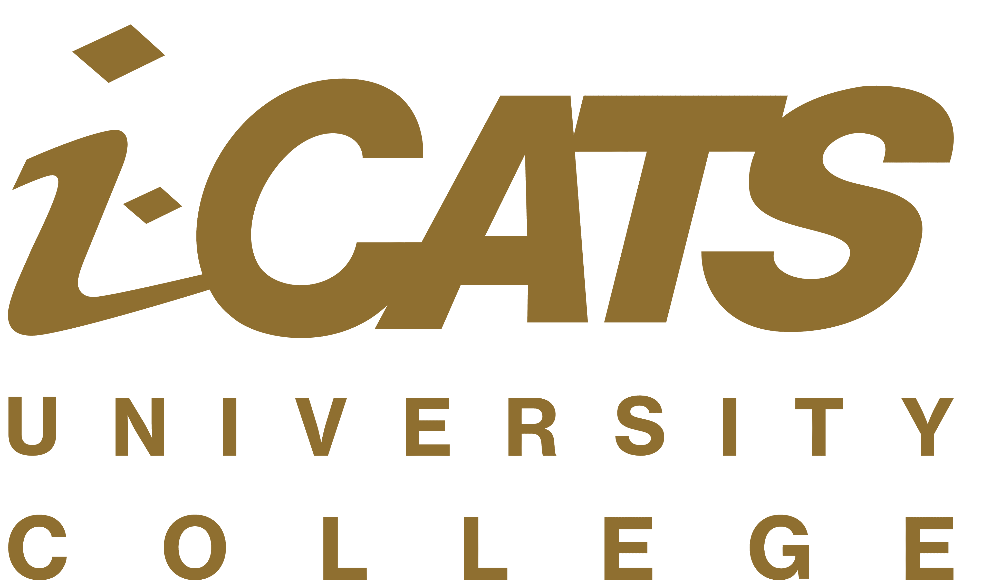 i-CATS Logo